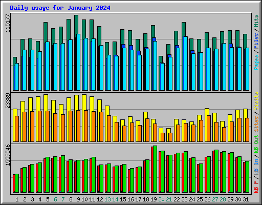 Daily usage for January 2024