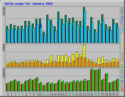 Daily usage for January 2025
