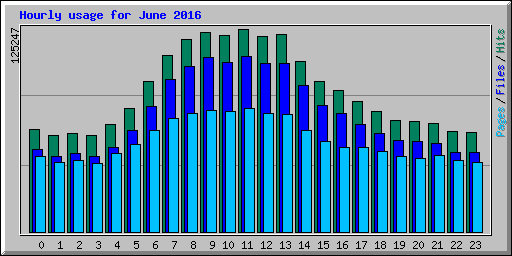 Hourly usage for June 2016