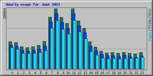 Hourly usage for June 2021