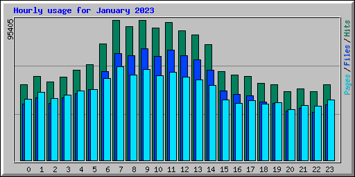 Hourly usage for January 2023