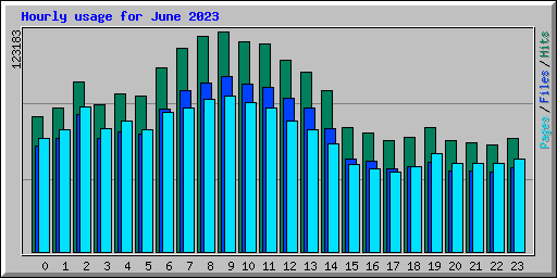 Hourly usage for June 2023