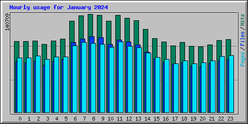 Hourly usage for January 2024