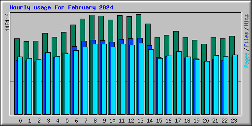 Hourly usage for February 2024