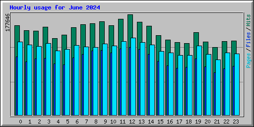 Hourly usage for June 2024