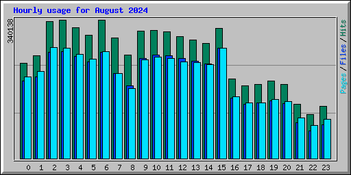 Hourly usage for August 2024