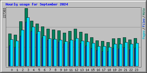 Hourly usage for September 2024