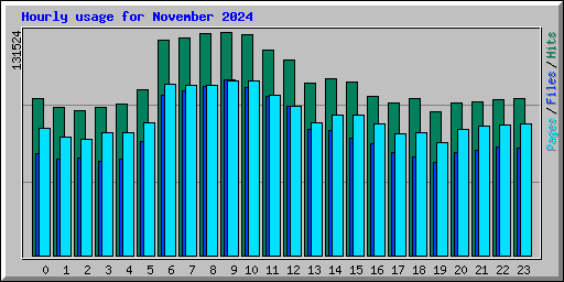 Hourly usage for November 2024