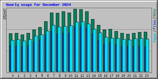 Hourly usage for December 2024