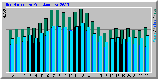 Hourly usage for January 2025