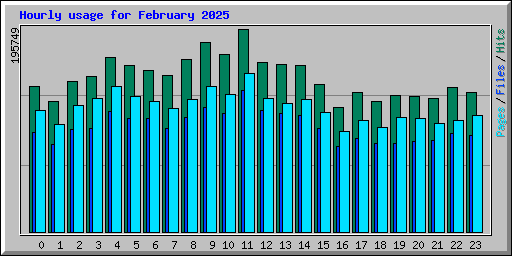 Hourly usage for February 2025