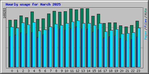 Hourly usage for March 2025