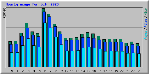 Hourly usage for July 2025
