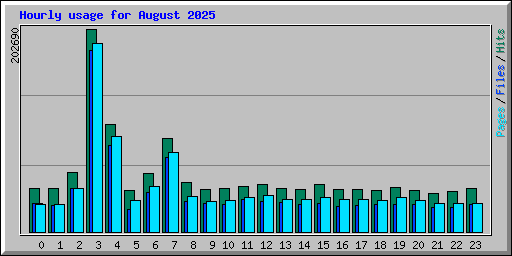 Hourly usage for August 2025