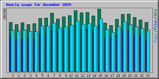 Hourly usage for December 2025