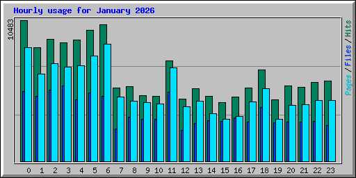 Hourly usage for January 2026