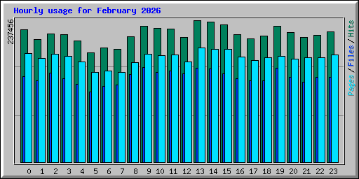Hourly usage for February 2026